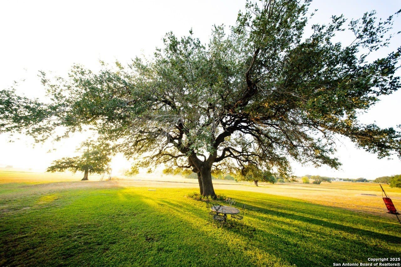 352 acres in Atascosa County - photo 35