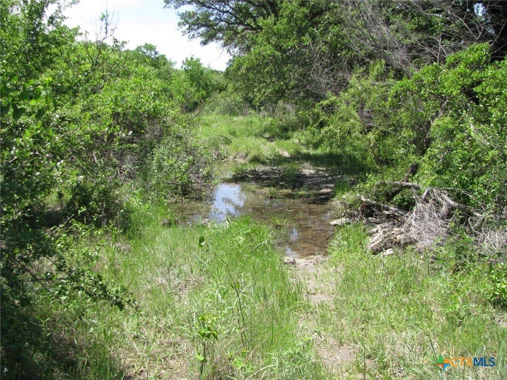 134.55 acres in Hamilton County - photo 5