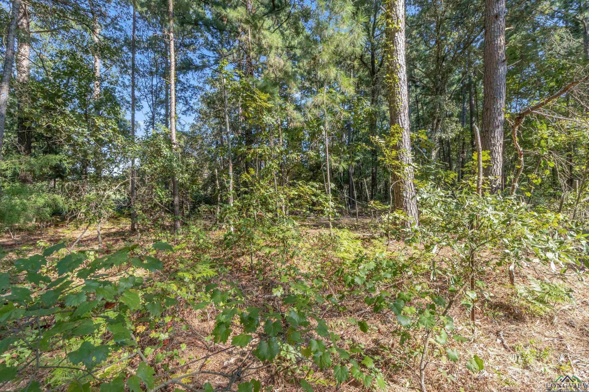 1.81 acres in Upshur County - photo 3