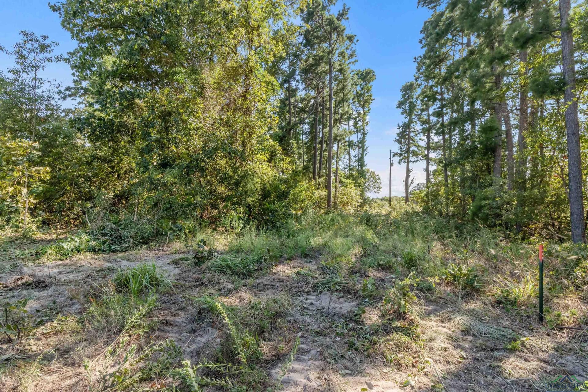 1.81 acres in Upshur County - photo 13