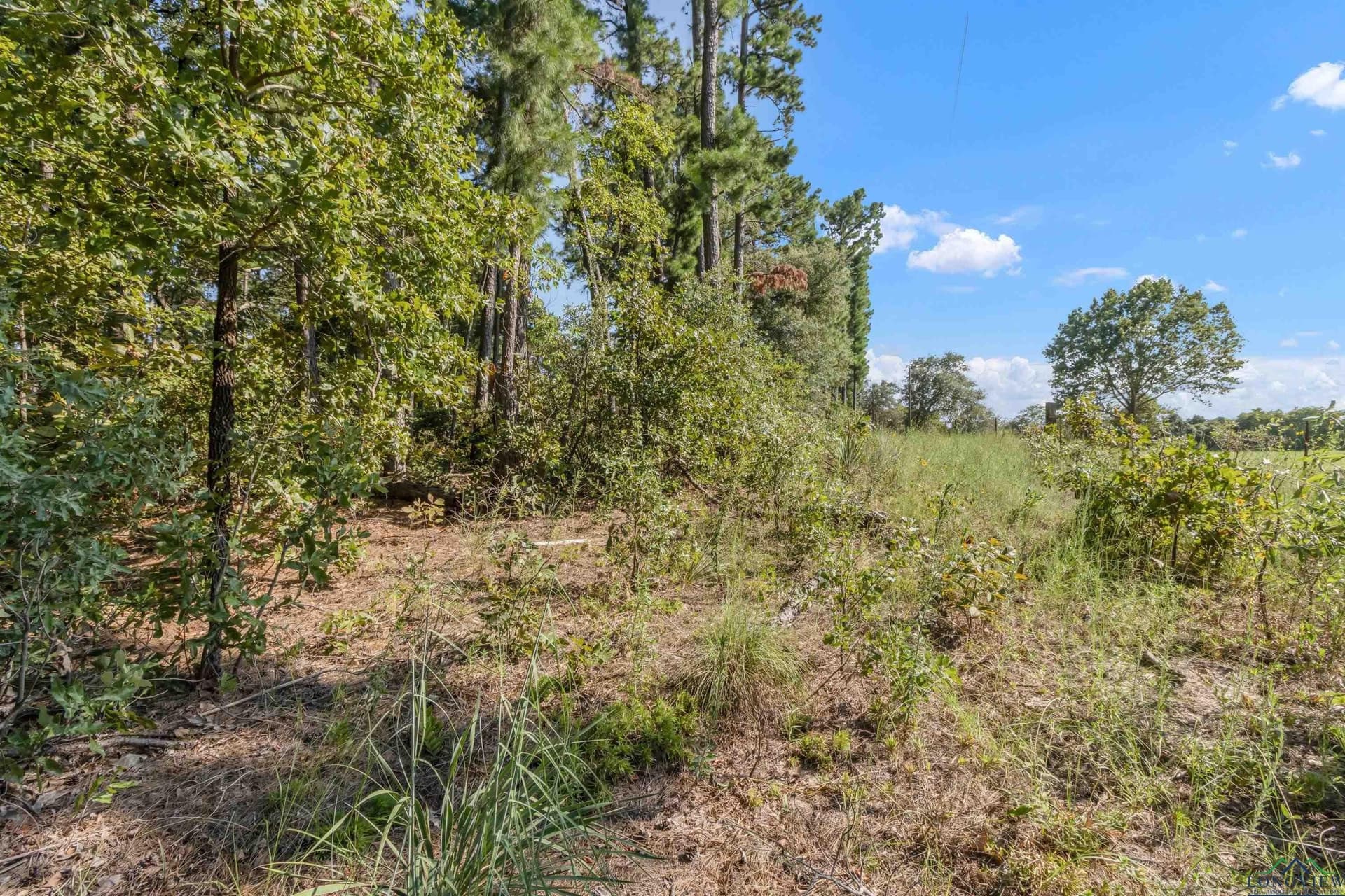 1.81 acres in Upshur County - photo 2
