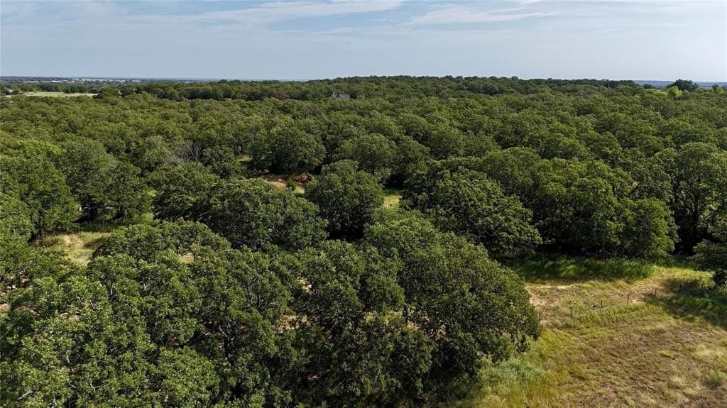 22.5 acres in Montague County - photo 23