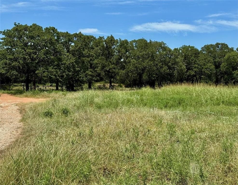 22.5 acres in Montague County - photo 22