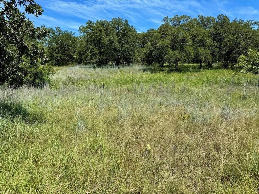 22.5 acres in Montague County - photo 5
