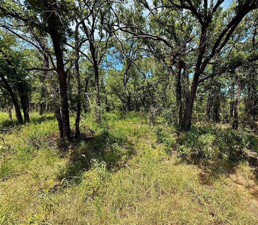 22.5 acres in Montague County - photo 17