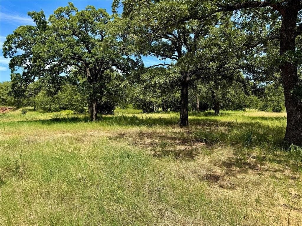 22.5 acres in Montague County - photo 15