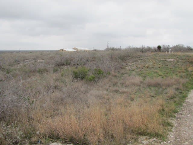 0.52 acres in Live Oak County - photo 3