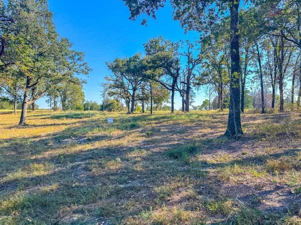 1 acres in Navarro County - photo 18