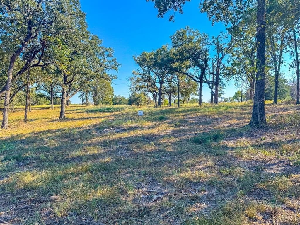 1 acres in Navarro County - photo 14