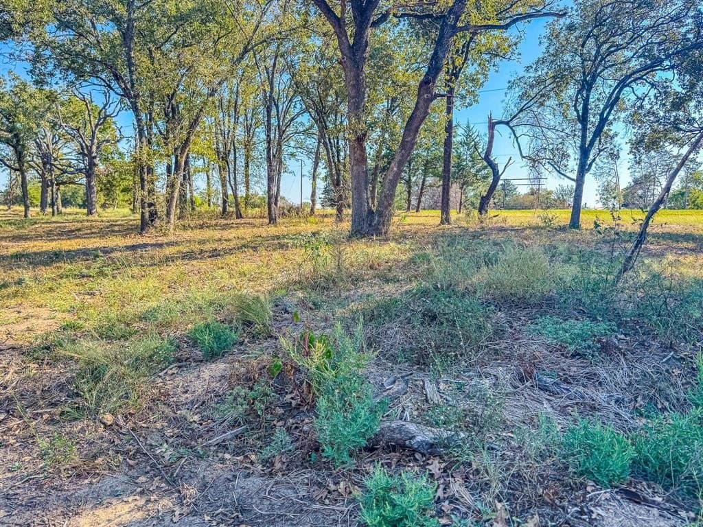 1 acres in Navarro County - photo 22