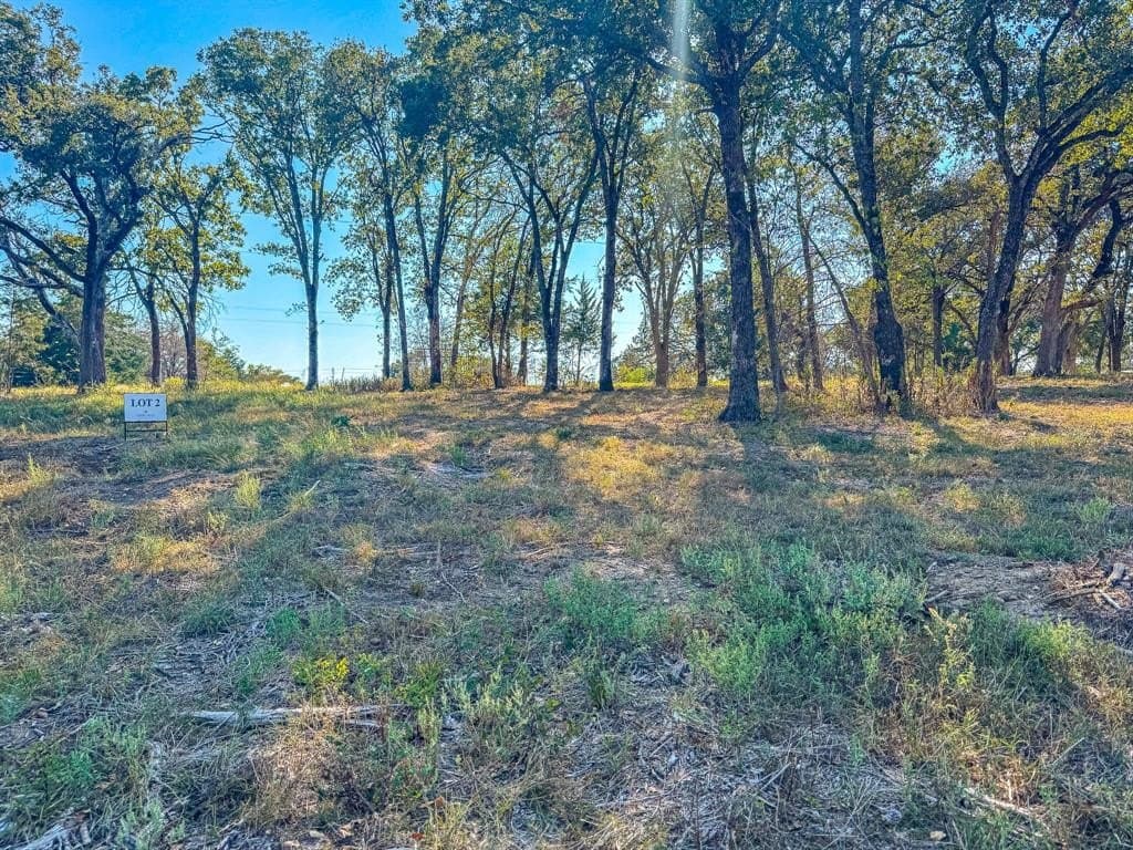 1 acres in Navarro County - photo 20
