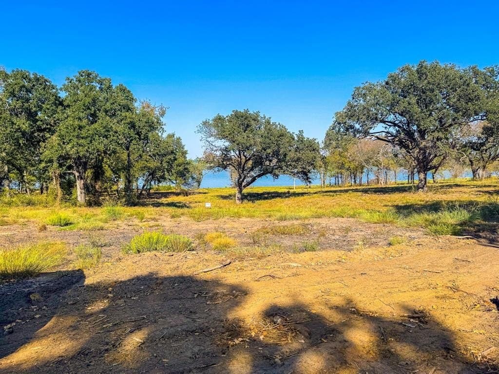1 acres in Navarro County - photo 10