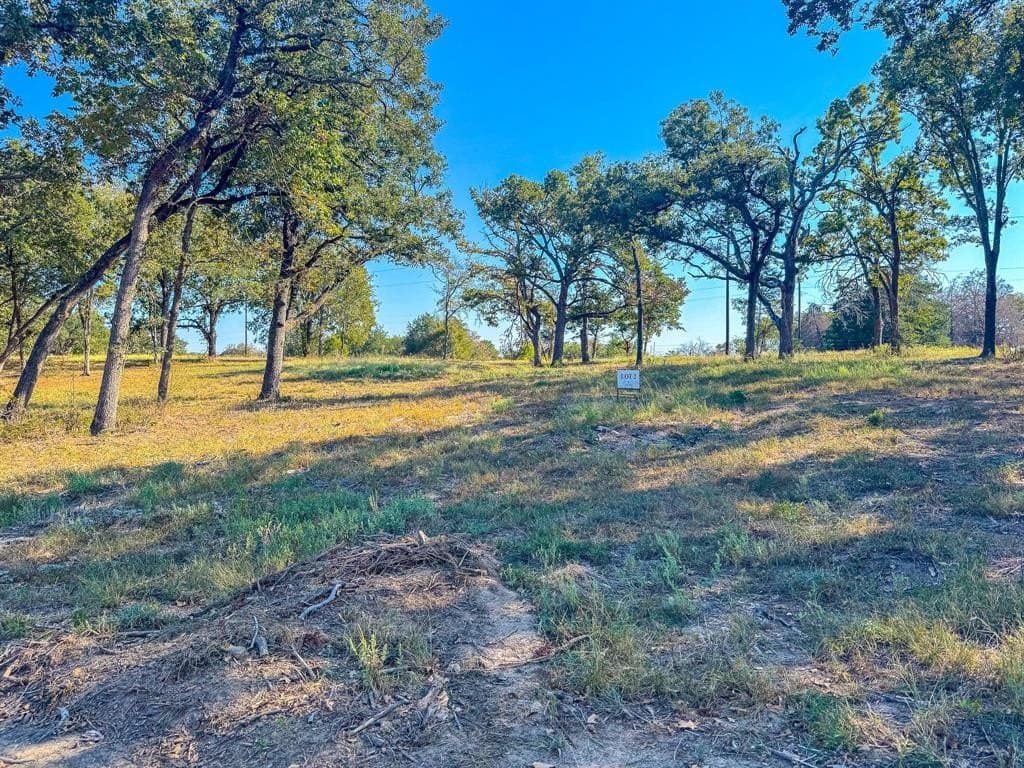 1 acres in Navarro County - photo 13