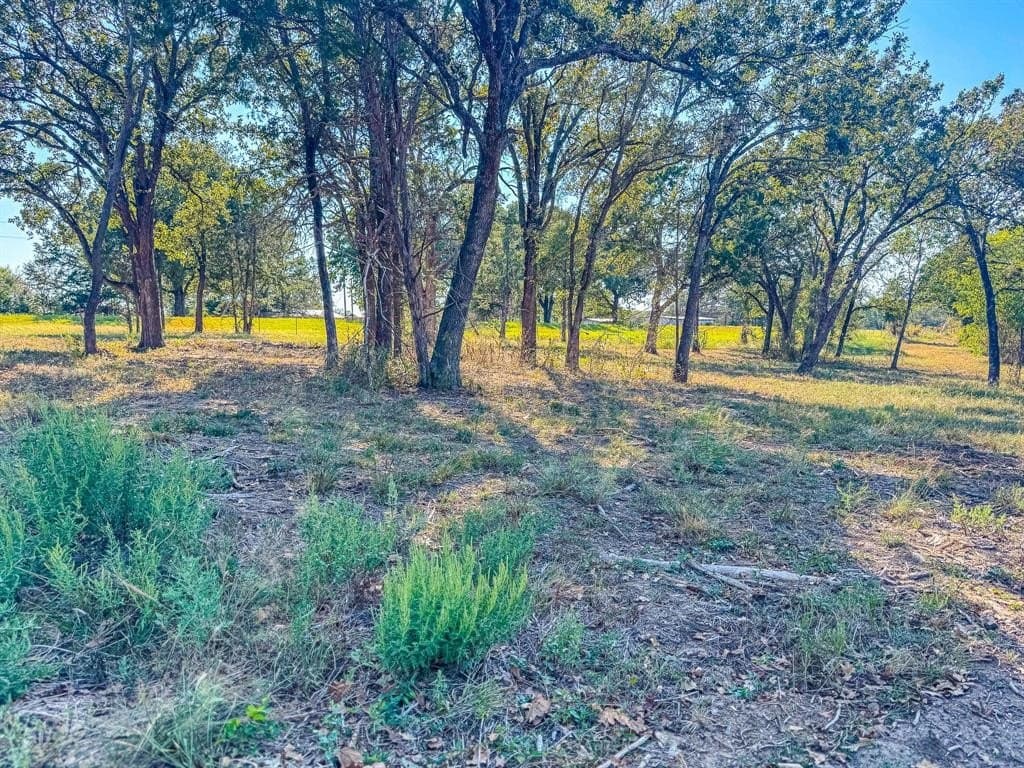 1 acres in Navarro County - photo 23