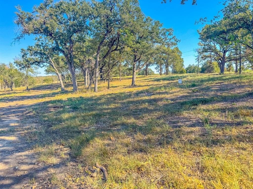 1 acres in Navarro County - photo 17
