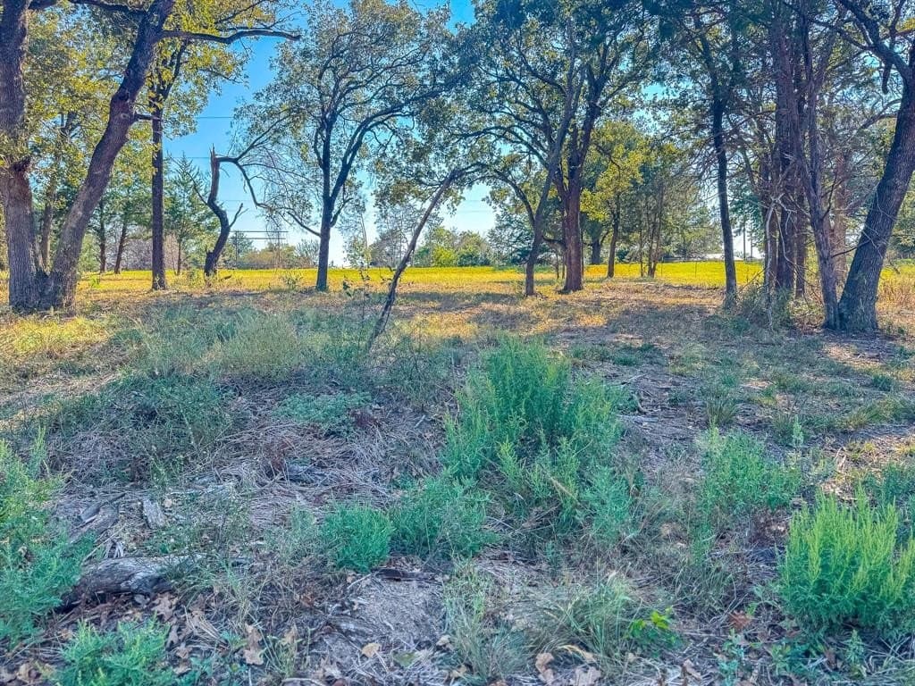 1 acres in Navarro County - photo 21