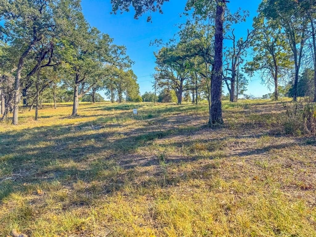 1 acres in Navarro County - photo 16