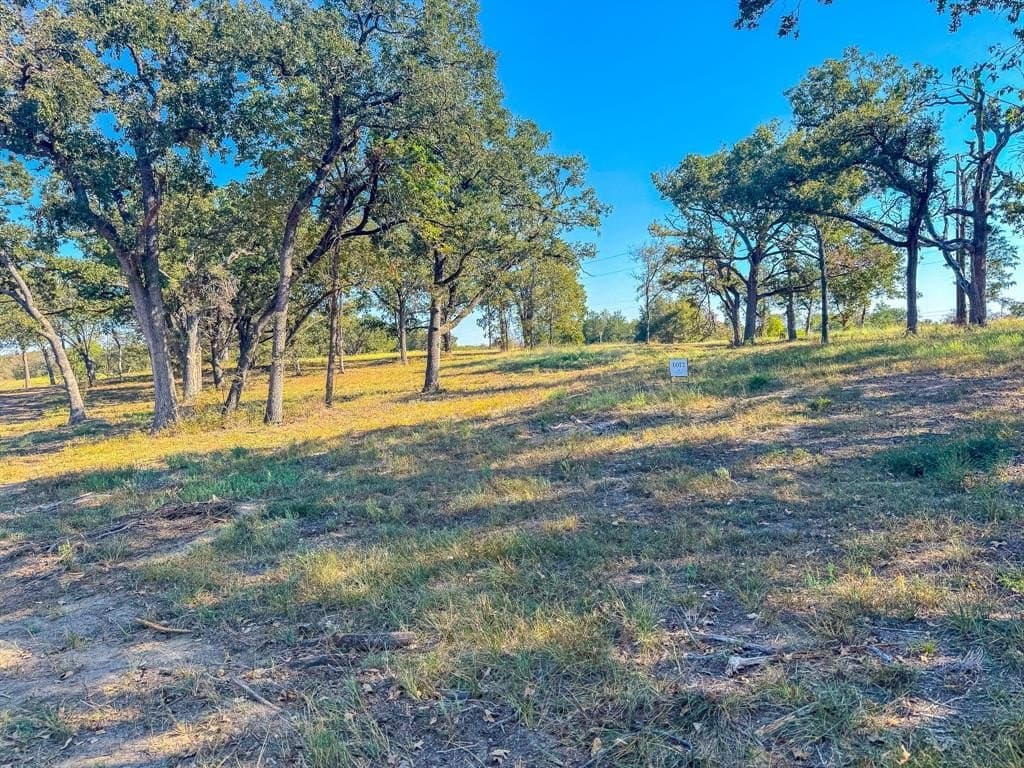 1 acres in Navarro County - photo 15