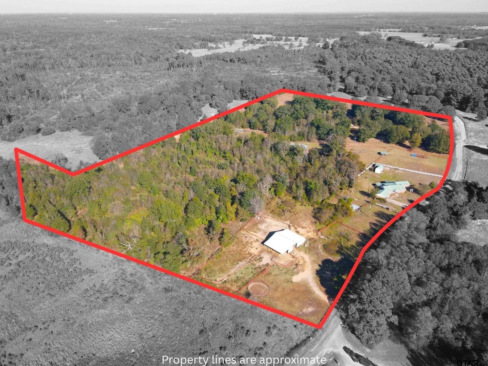43 acres in Camp County - photo 3
