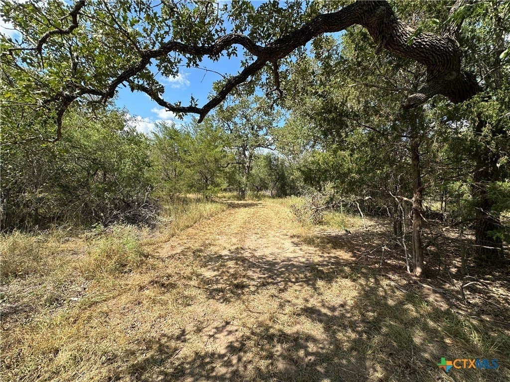 23.94 acres in Caldwell County - photo 6