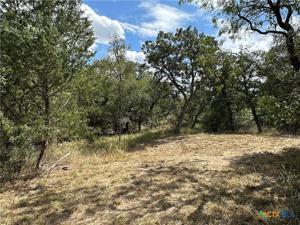 23.94 acres in Caldwell County - photo 8