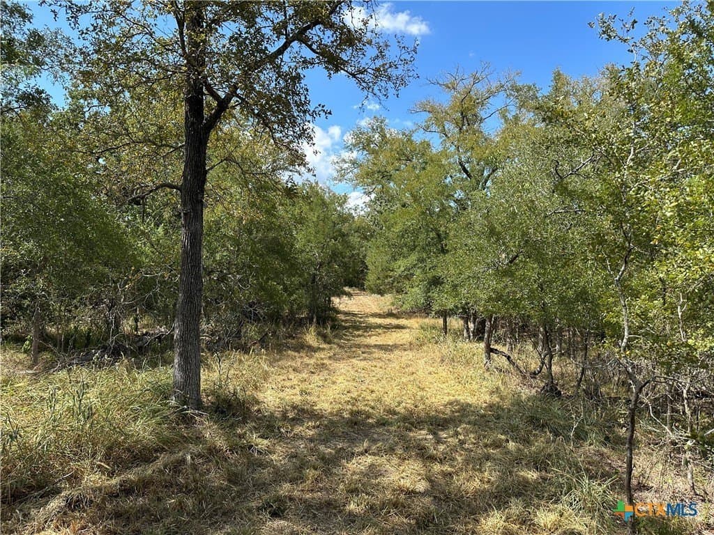 23.94 acres in Caldwell County - photo 10