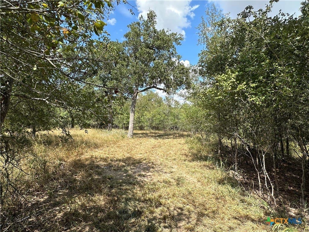 23.94 acres in Caldwell County - photo 9
