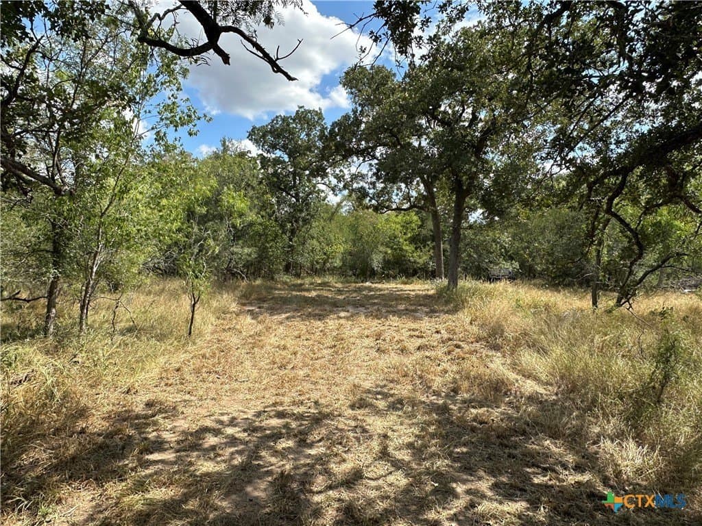 23.94 acres in Caldwell County - photo 7
