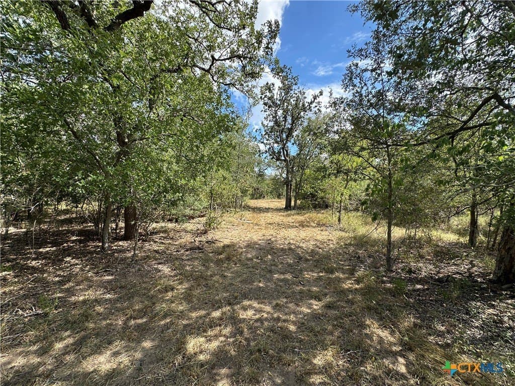 23.94 acres in Caldwell County - photo 5