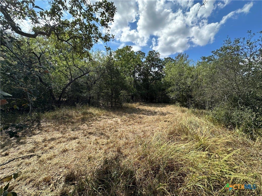 23.94 acres in Caldwell County - photo 2