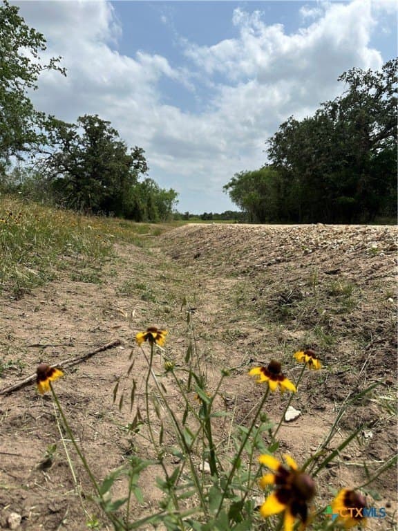 23.94 acres in Caldwell County - photo 14