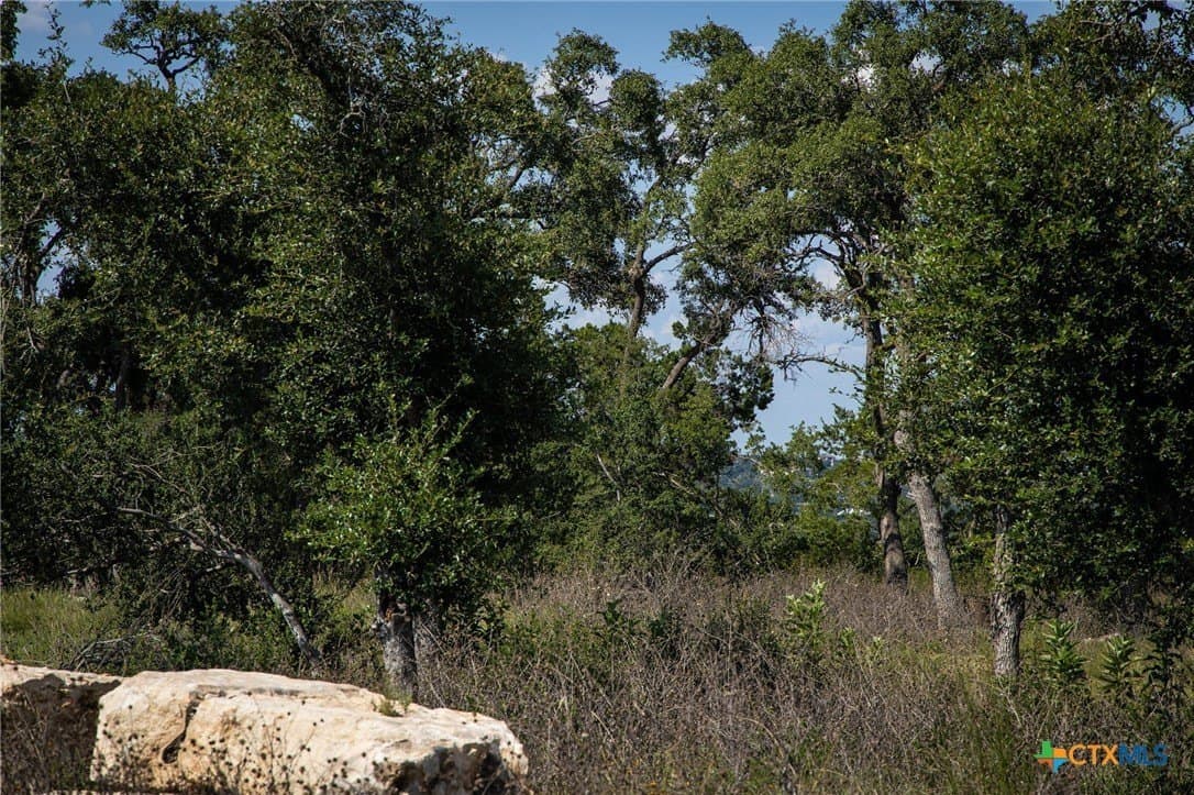 1.04 acres in Comal County - photo 5
