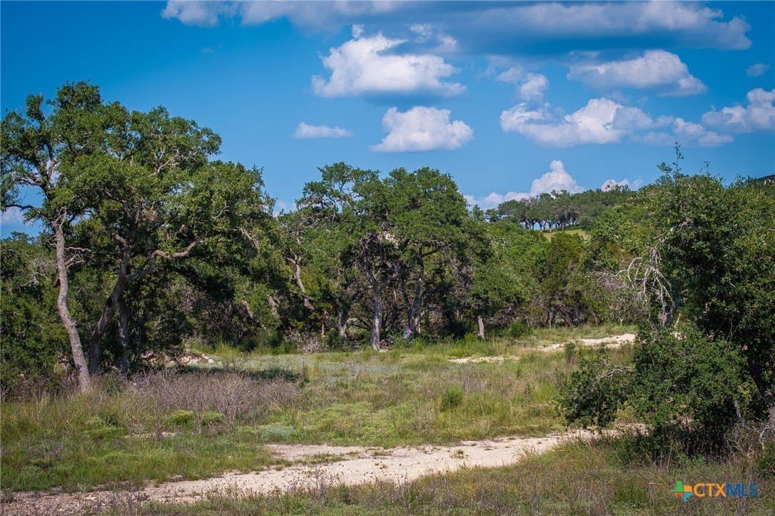 1.04 acres in Comal County - photo 23