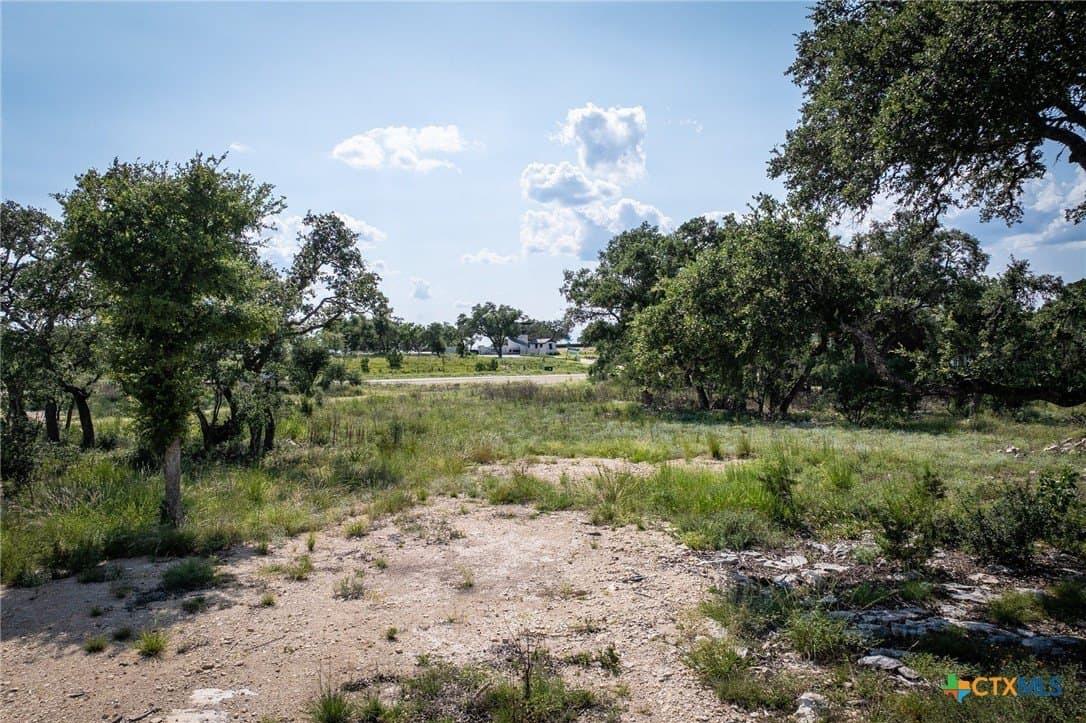 1.04 acres in Comal County - photo 17
