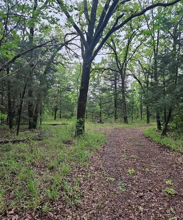 5.21 acres in Henderson County - photo 3