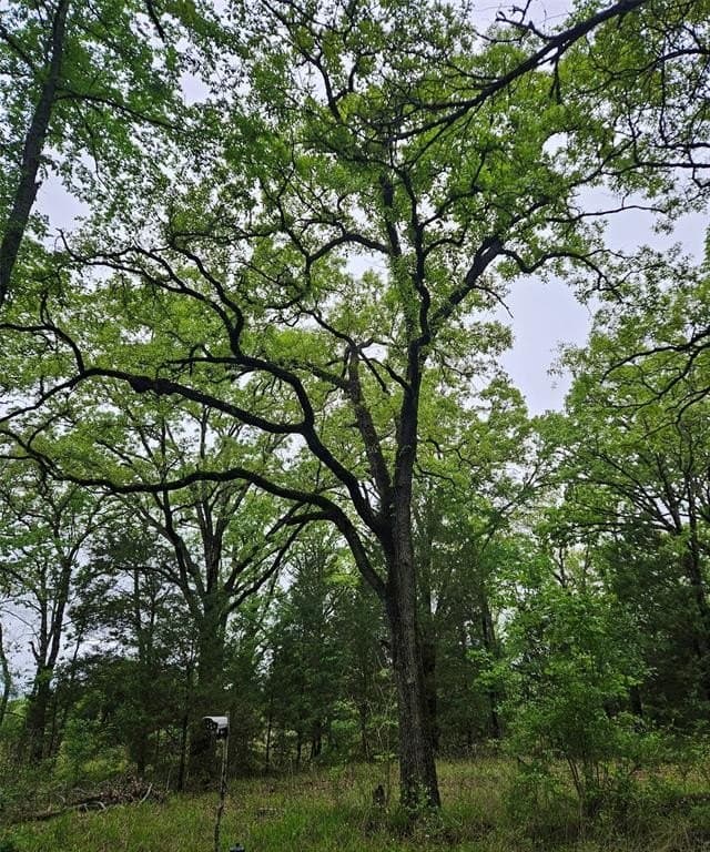 01 Private 5401 Road