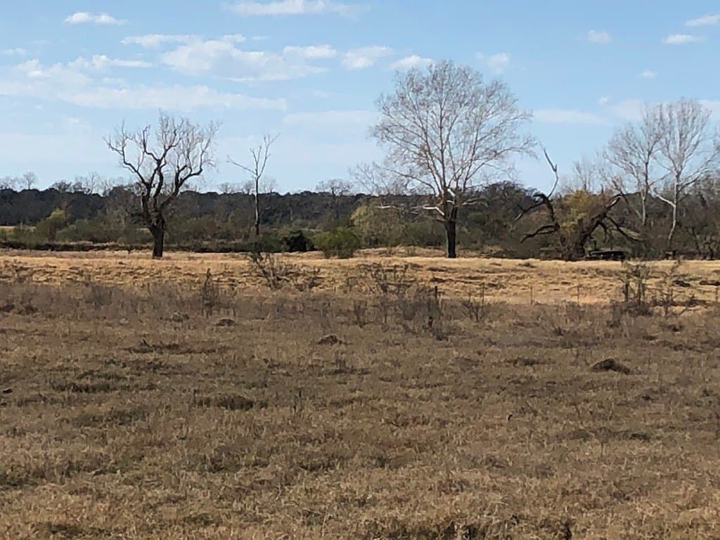 43.46 acres in Colorado County - photo 5