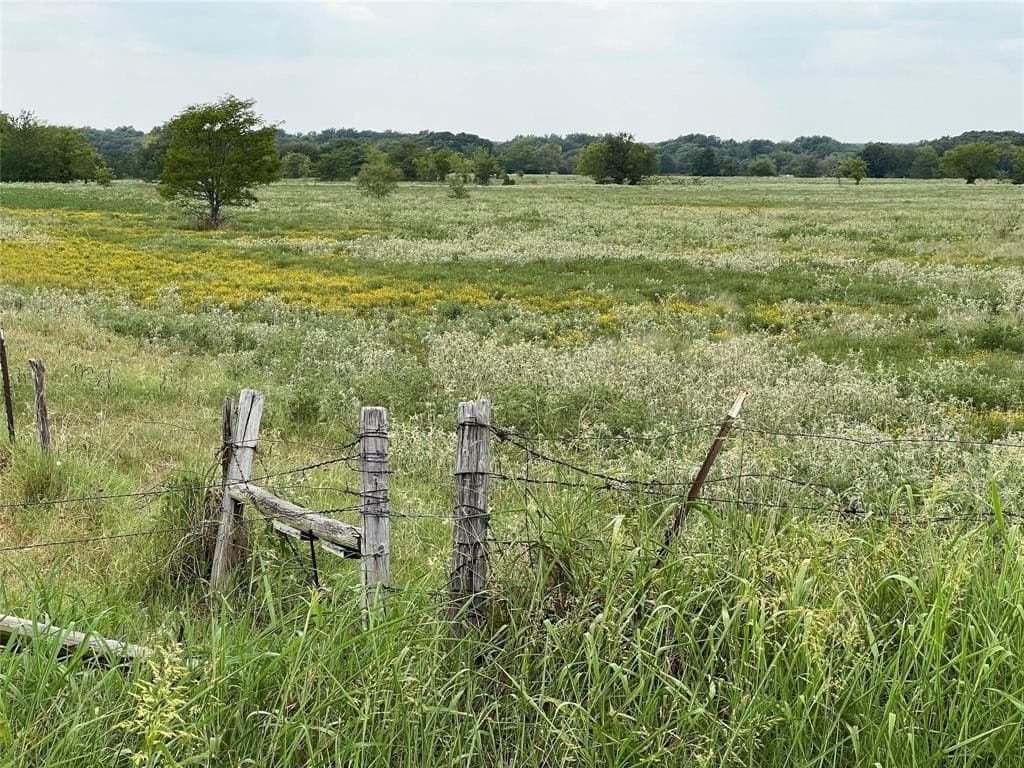 53.45 acres in Hunt County - photo 13