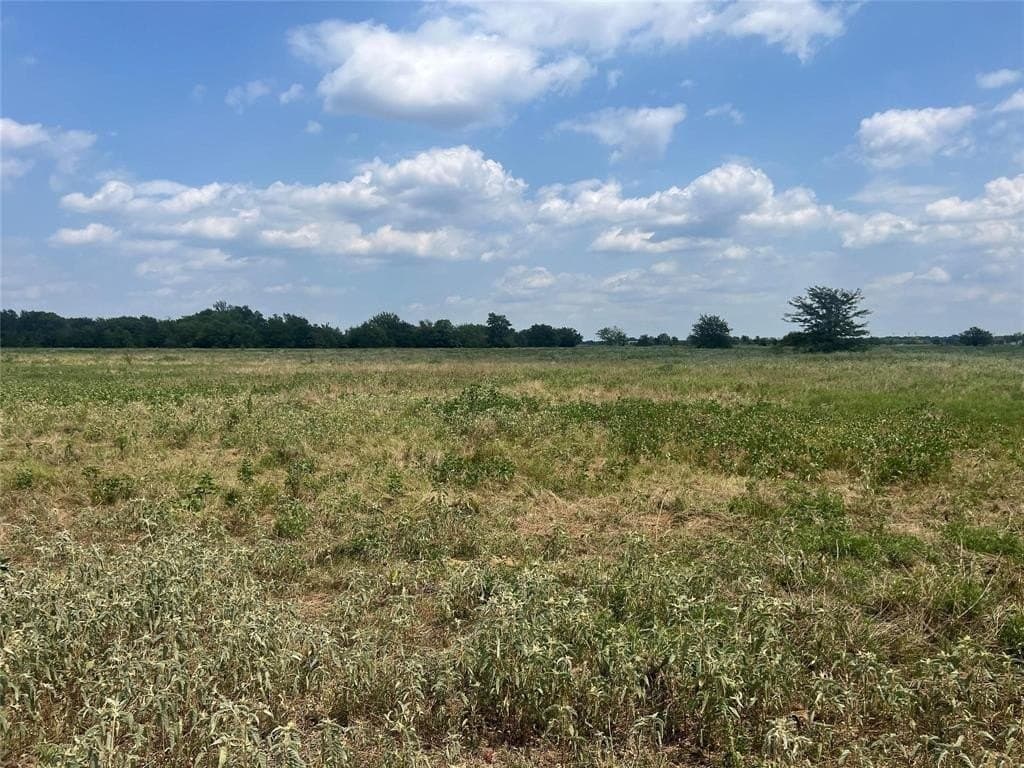53.45 acres in Hunt County - photo 11