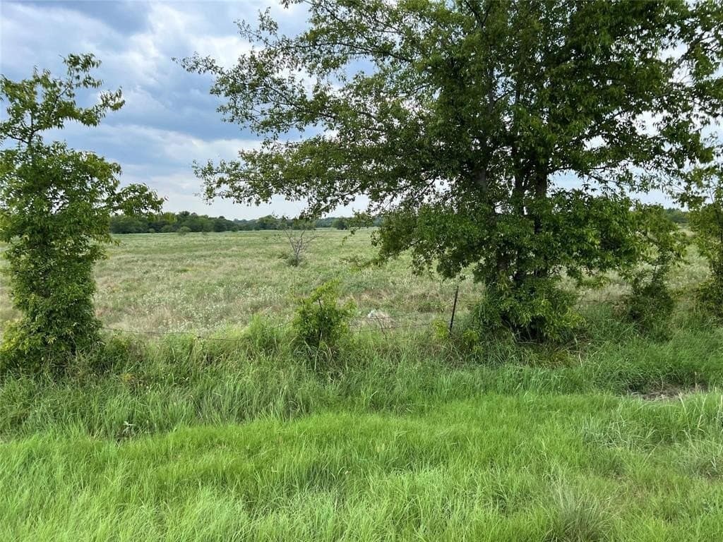 53.45 acres in Hunt County - photo 4