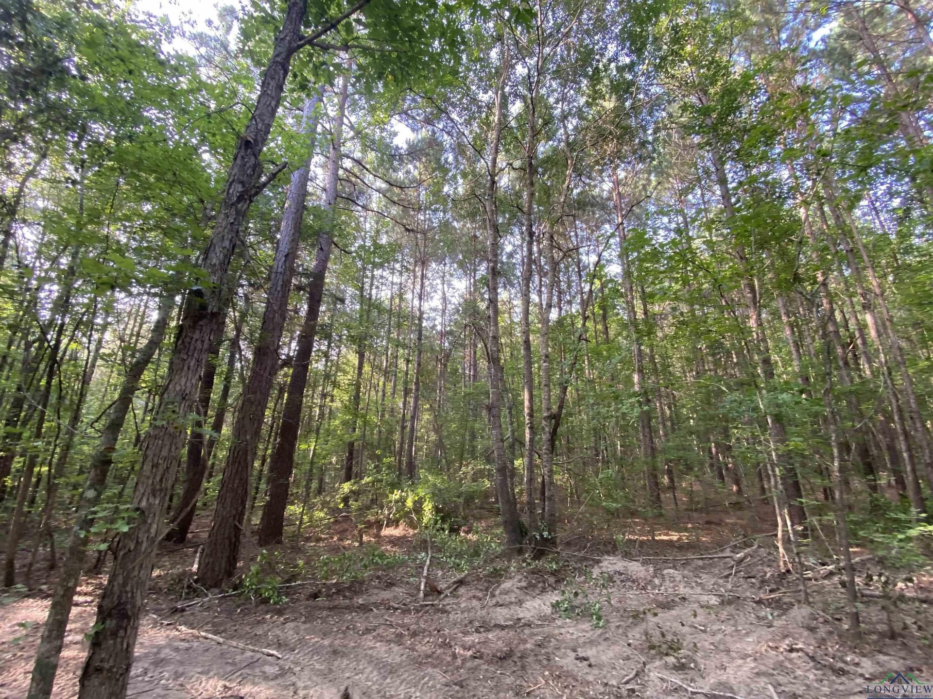 80 acres in Marion County - photo 13
