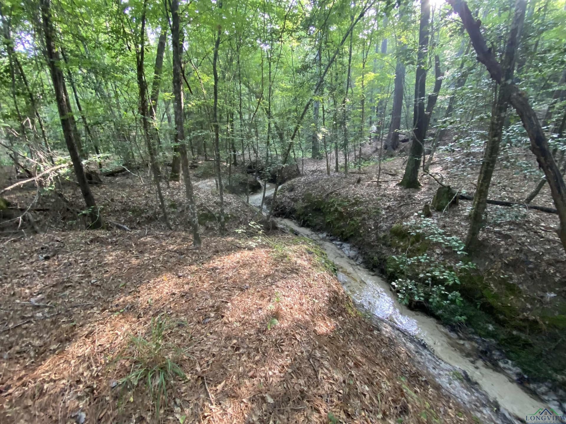 80 acres in Marion County - photo 15