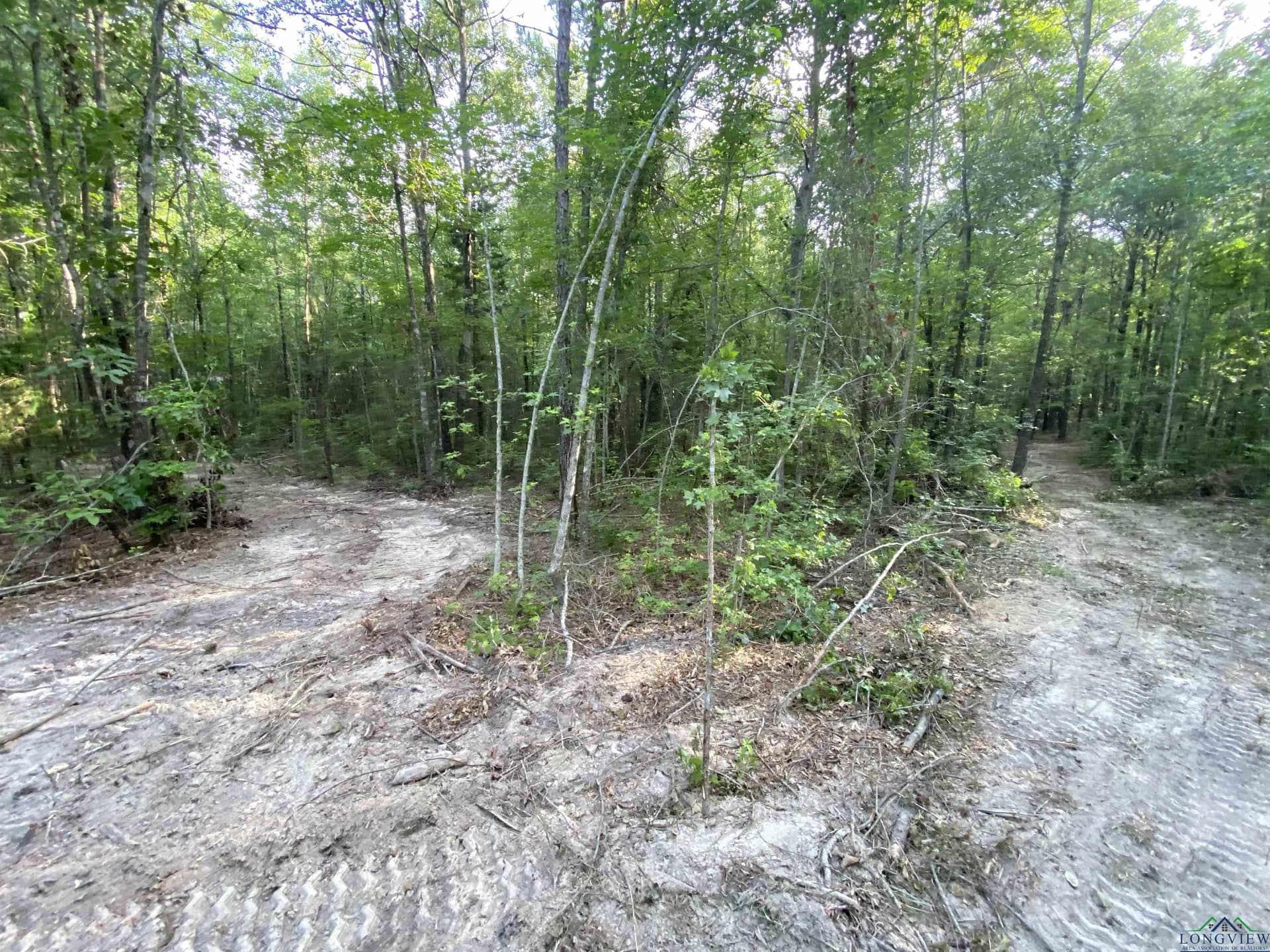 80 acres in Marion County - photo 11