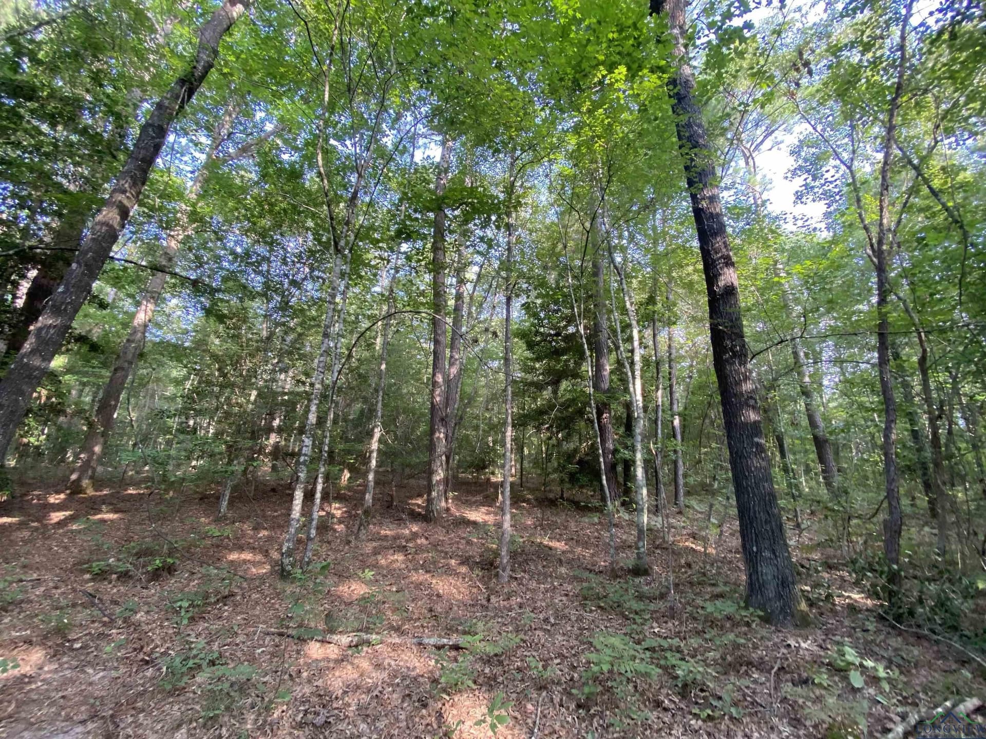 80 acres in Marion County - photo 18