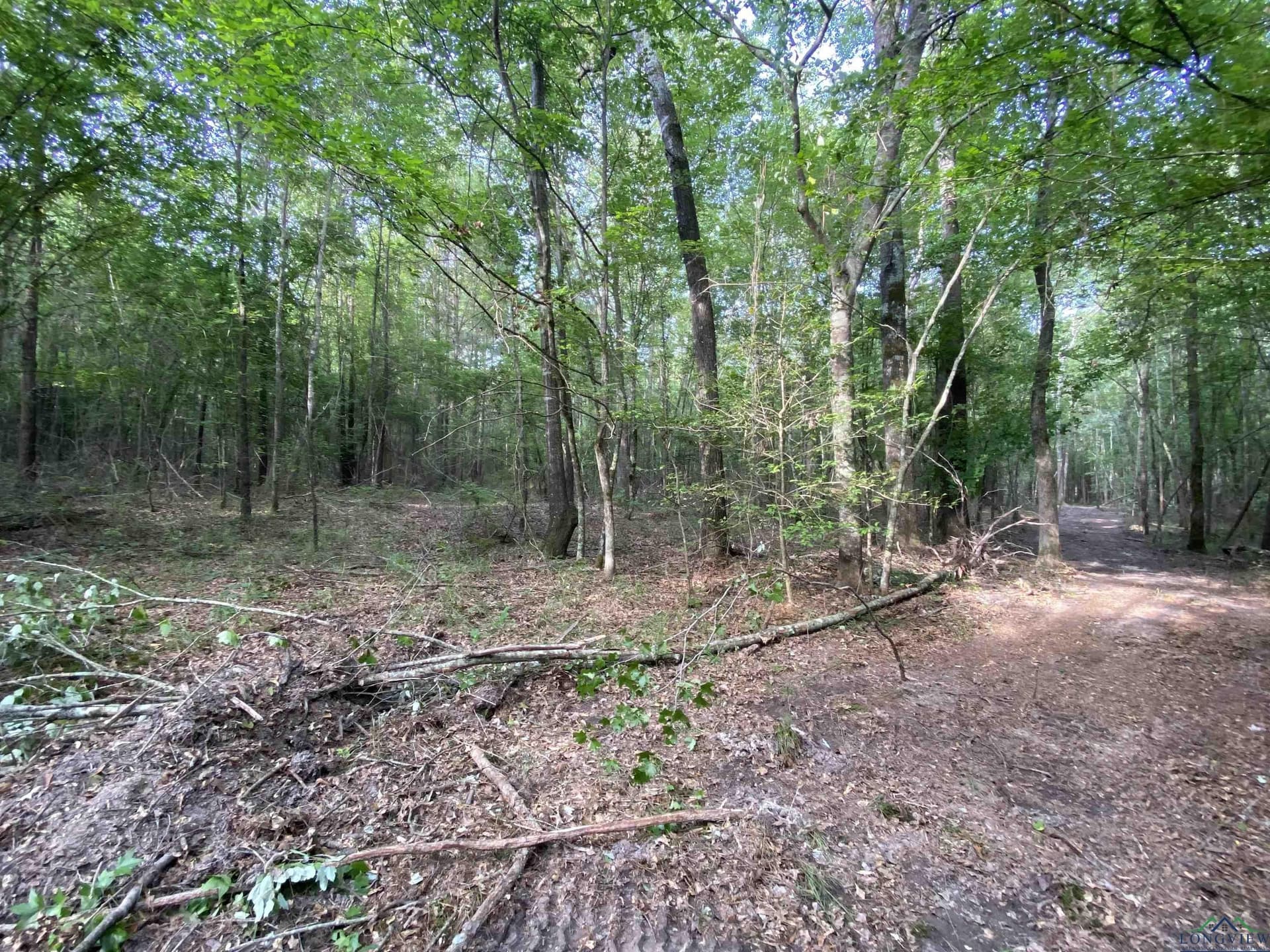 80 acres in Marion County - photo 23