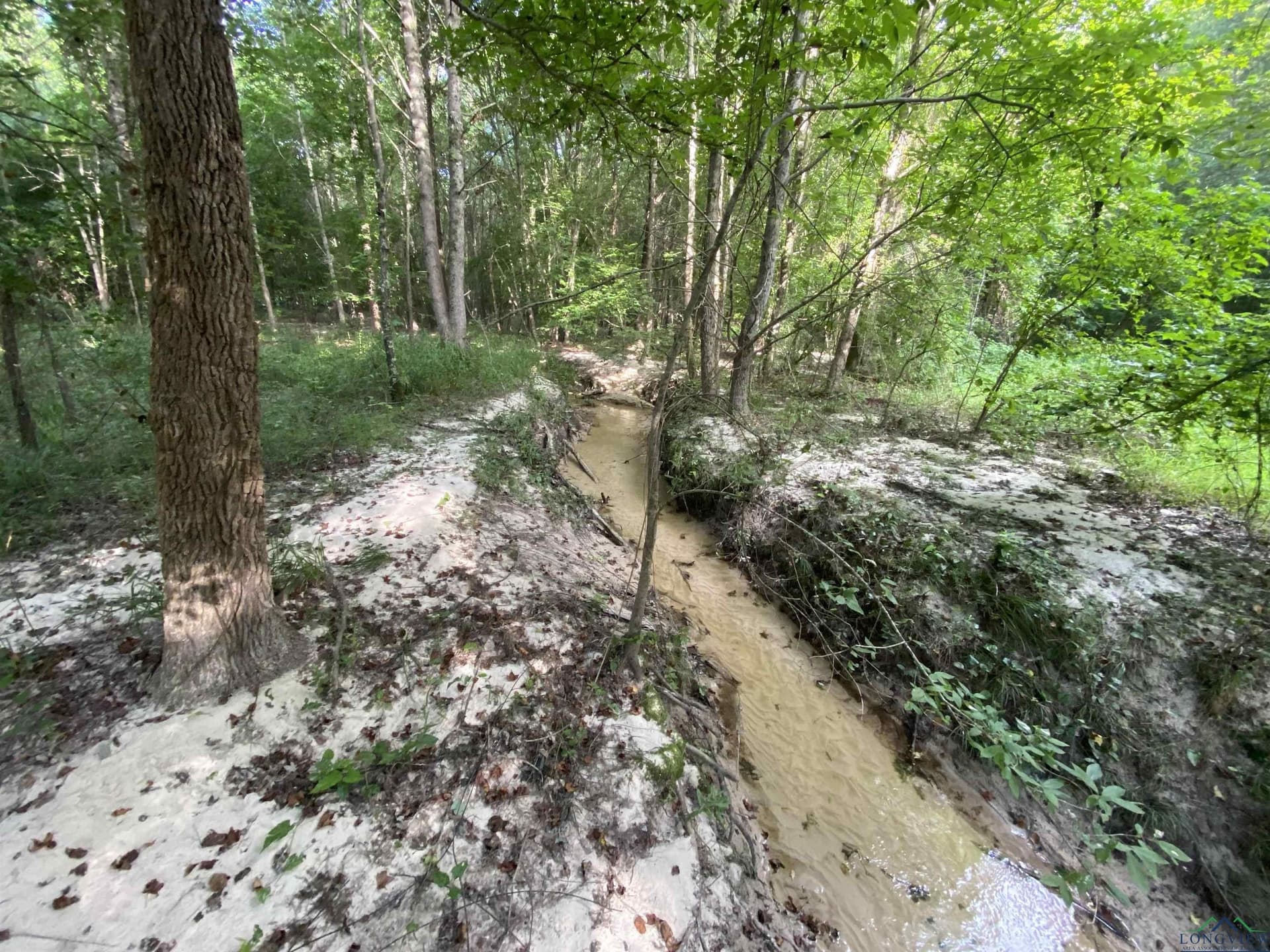 80 acres in Marion County - photo 26