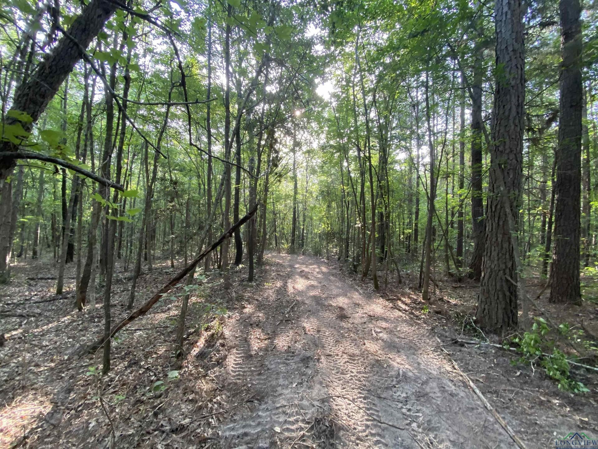 80 acres in Marion County - photo 14