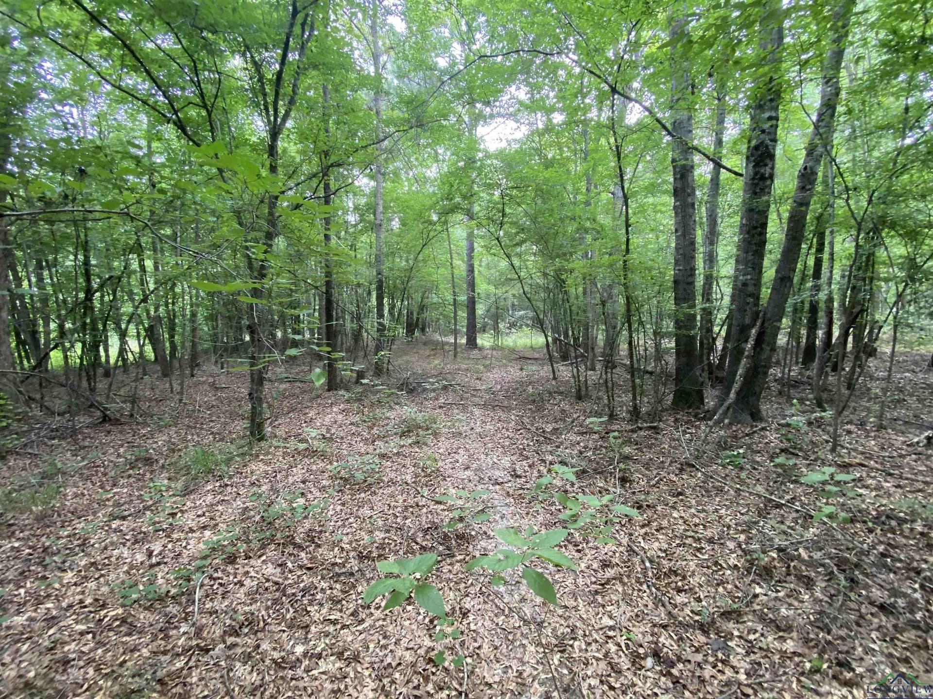 80 acres in Marion County - photo 29