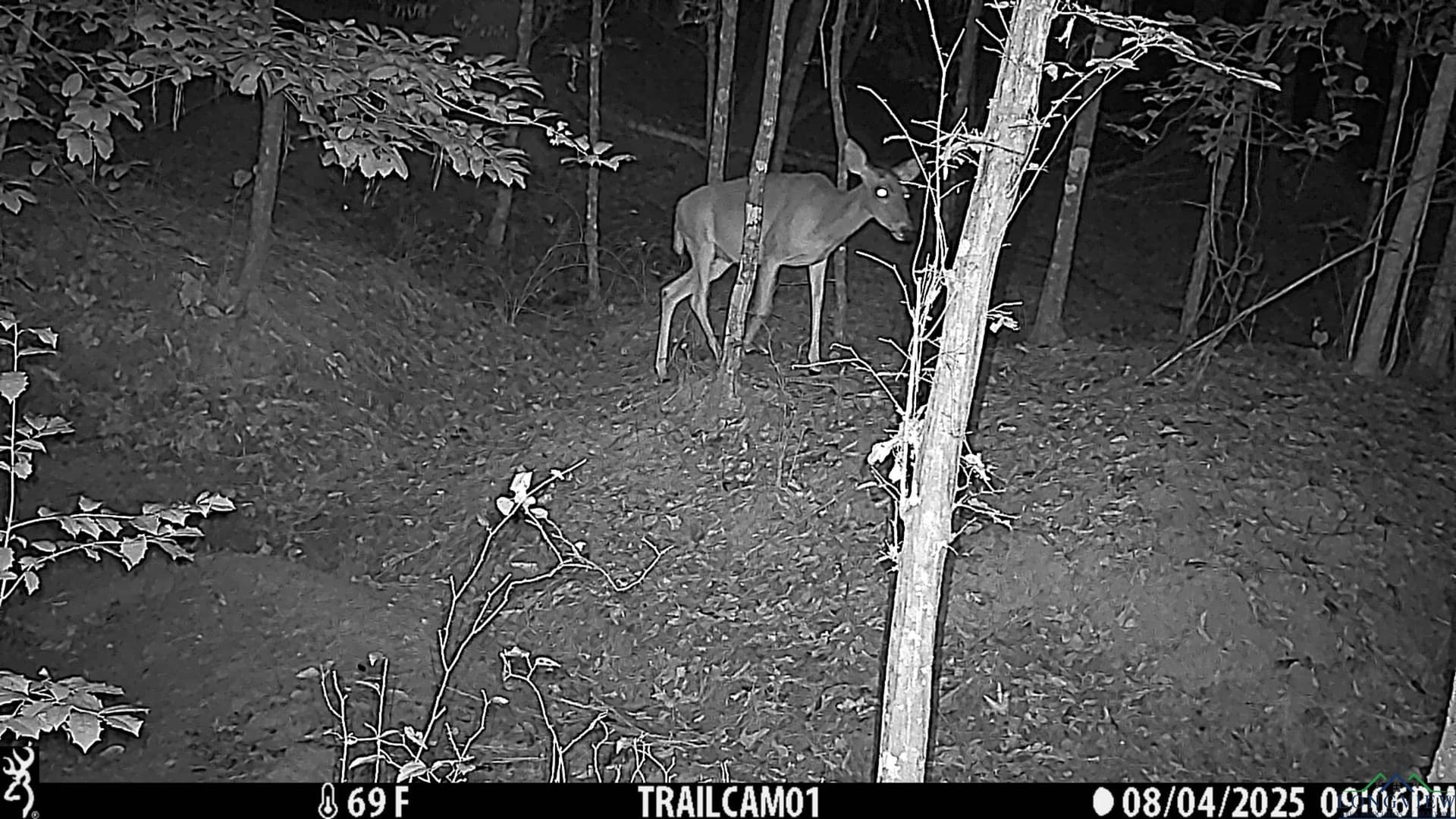 80 acres in Marion County - photo 36