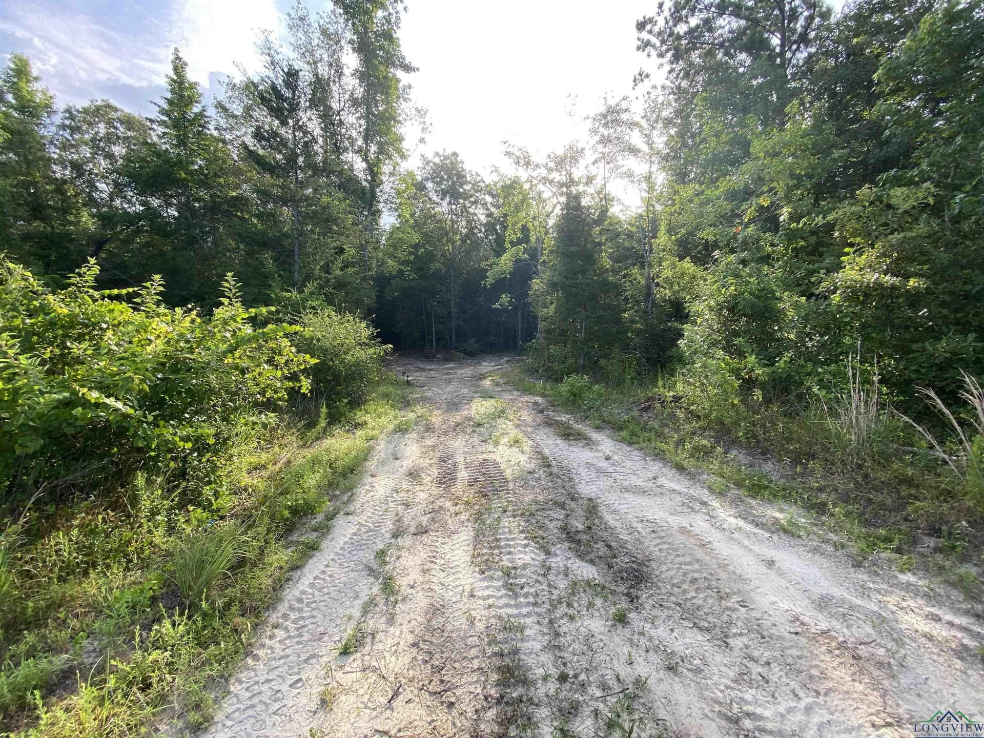 80 acres in Marion County - photo 8